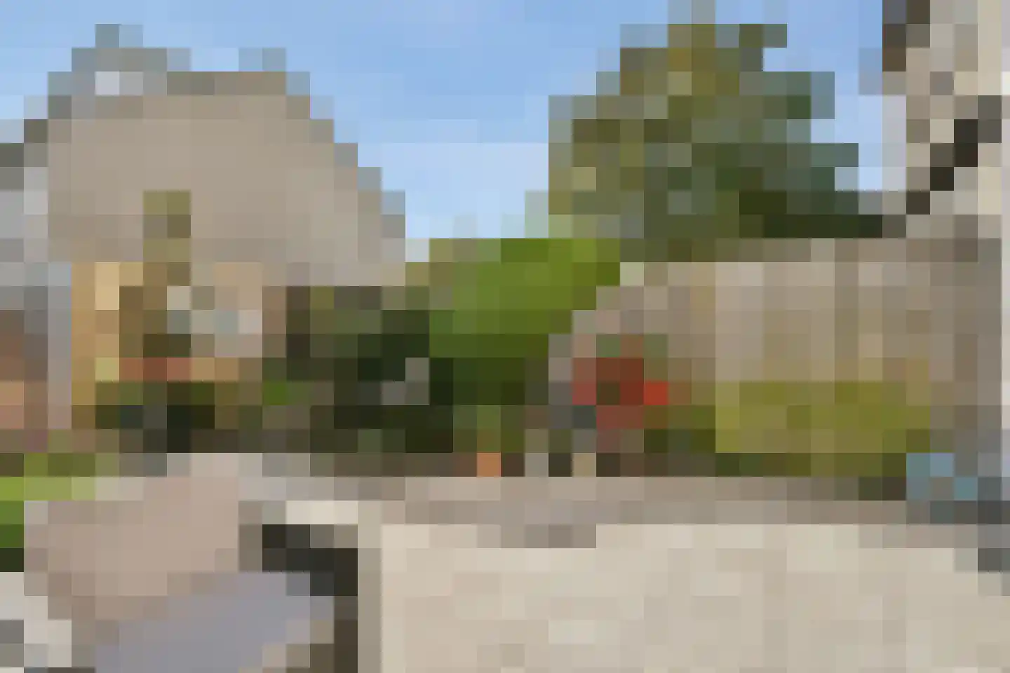 Bakboord 40 Amstelveen thumbnail 10