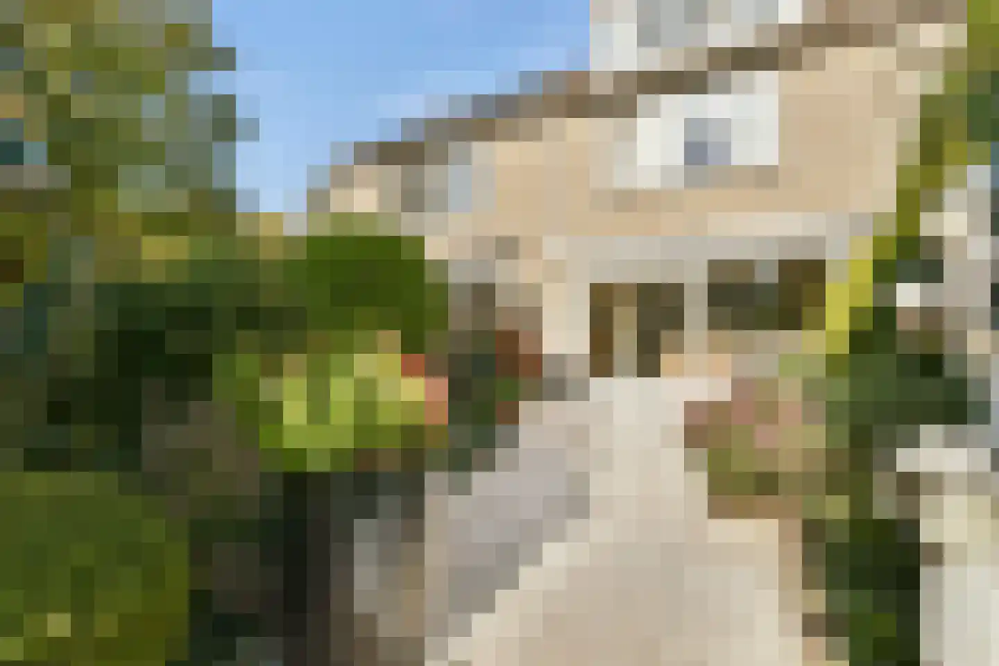 Bakboord 40 Amstelveen thumbnail 11