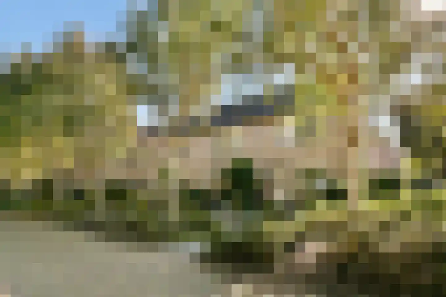 Bakboord 40 Amstelveen thumbnail 24