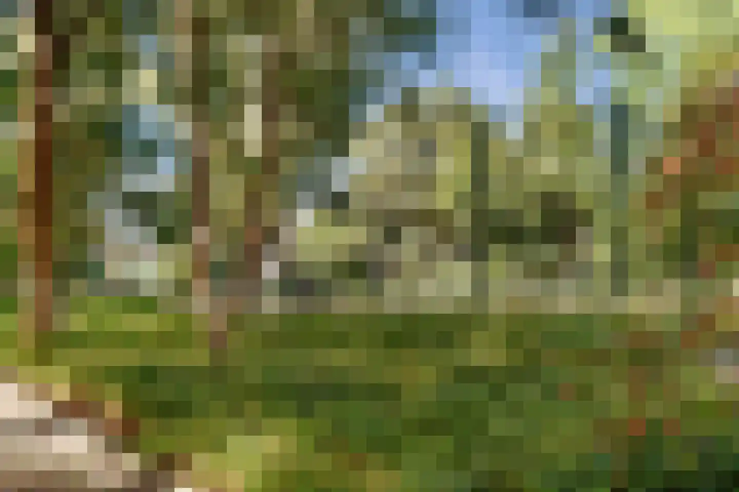 Bakboord 40 Amstelveen thumbnail 26