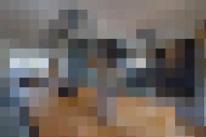 Bakboord 49 Stadskanaal thumbnail 17