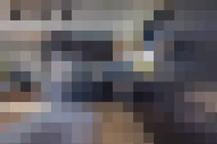 Bakboord 49 Stadskanaal thumbnail 19