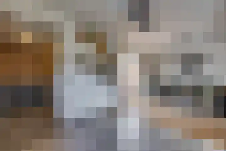Bakboord 49 Stadskanaal thumbnail 20