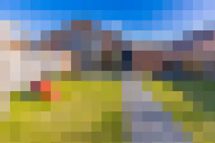 Bakboord 49 Stadskanaal thumbnail 35