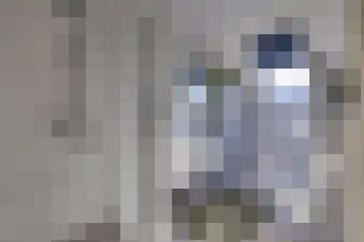 Bakboord 49 Stadskanaal thumbnail 4