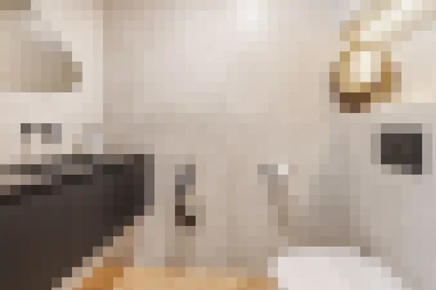 Bakboord 5 Almere thumbnail 17