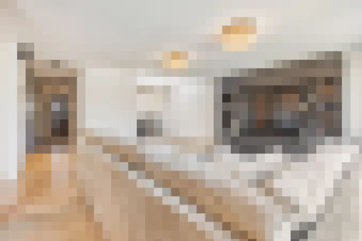 Bakboord 5 Almere thumbnail 7