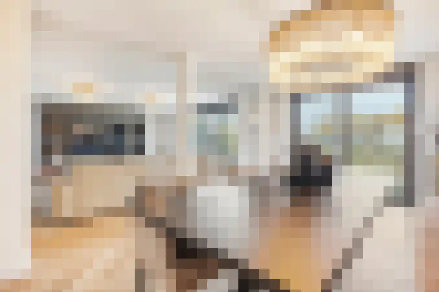 Bakboord 5 Almere thumbnail 8