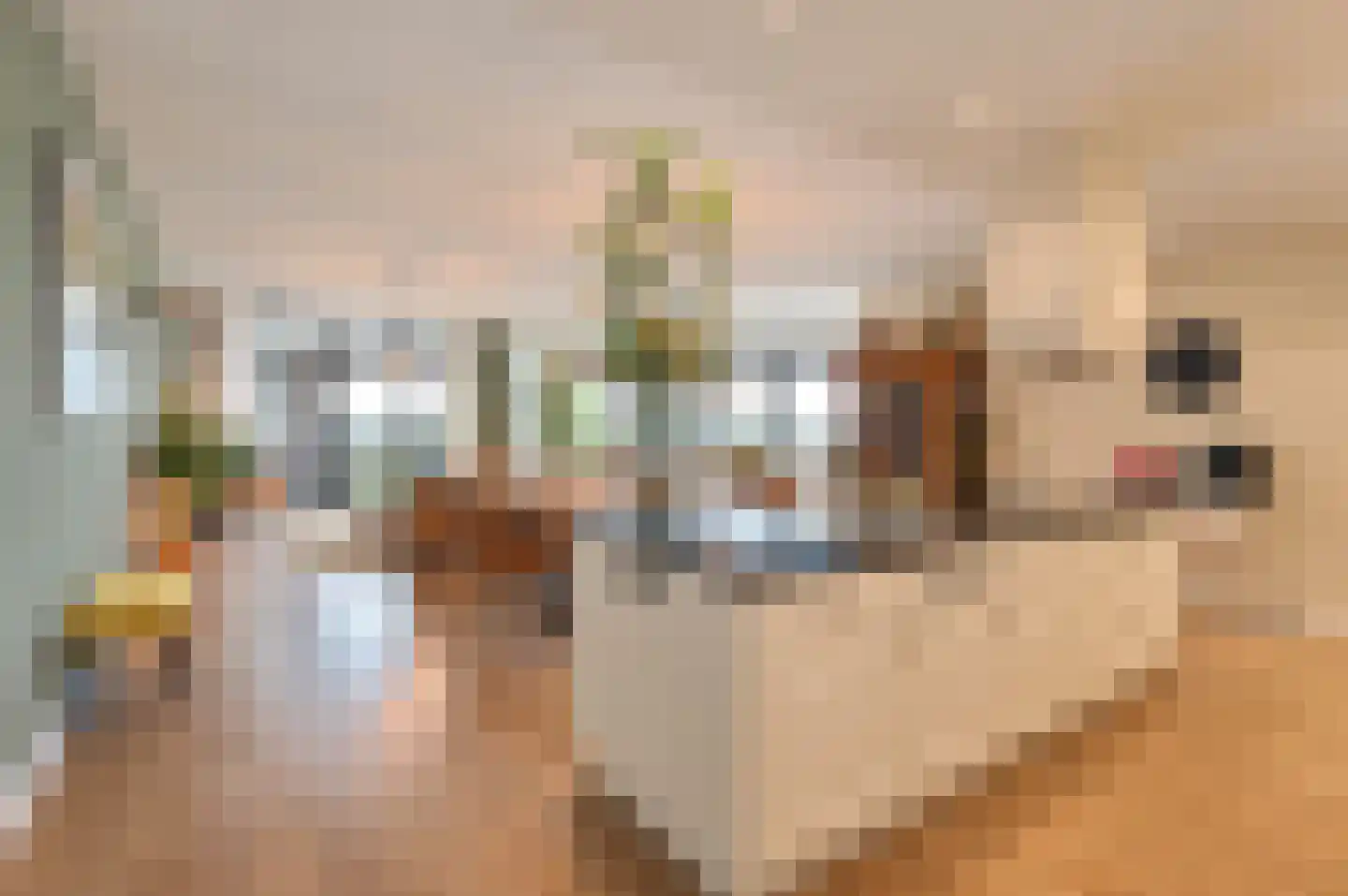 Bakboord 50 Capelle aan den IJssel thumbnail 17