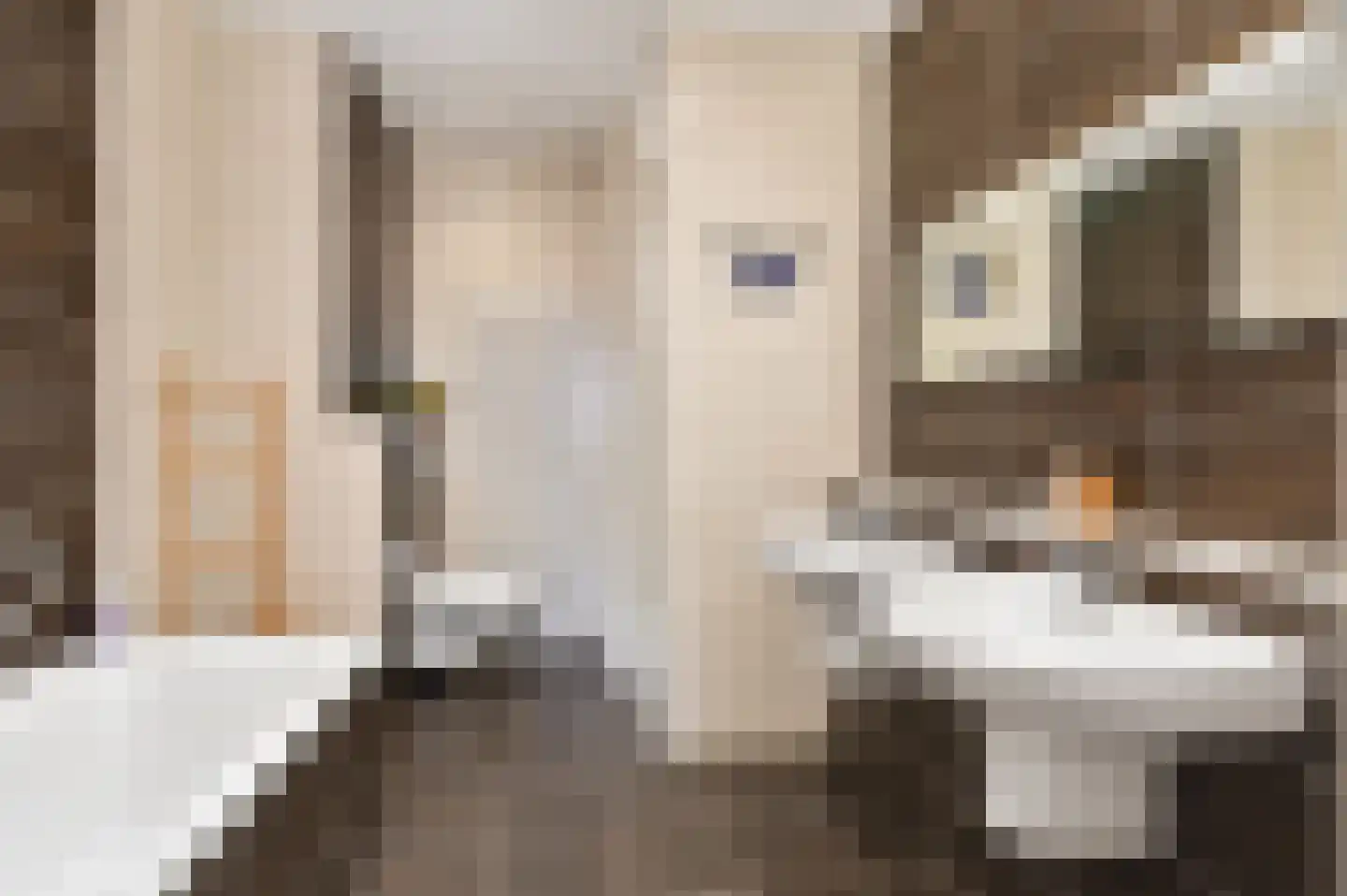 Bakboord 50 Capelle aan den IJssel thumbnail 32