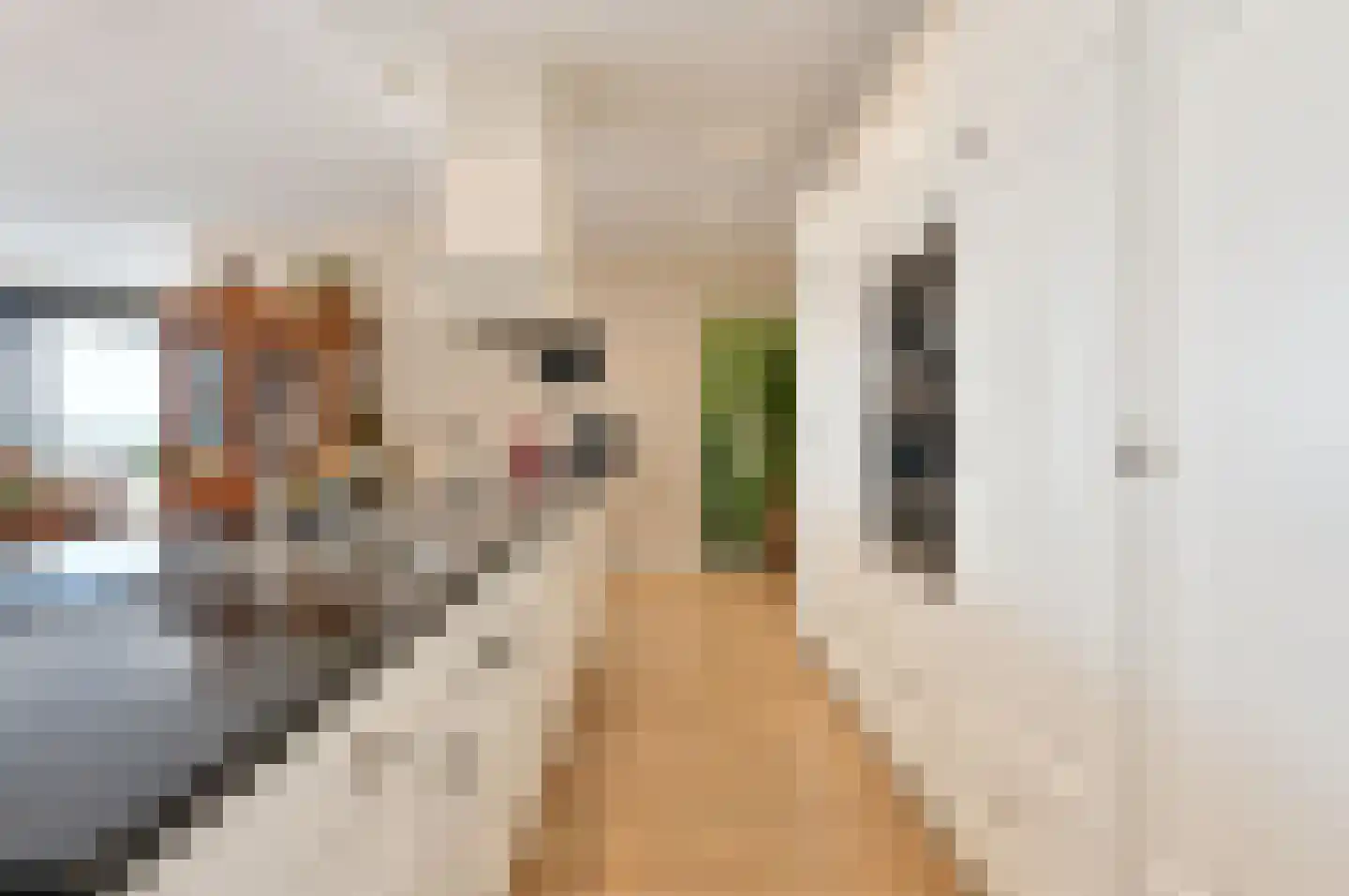 Bakboord 50 Capelle aan den IJssel thumbnail 8