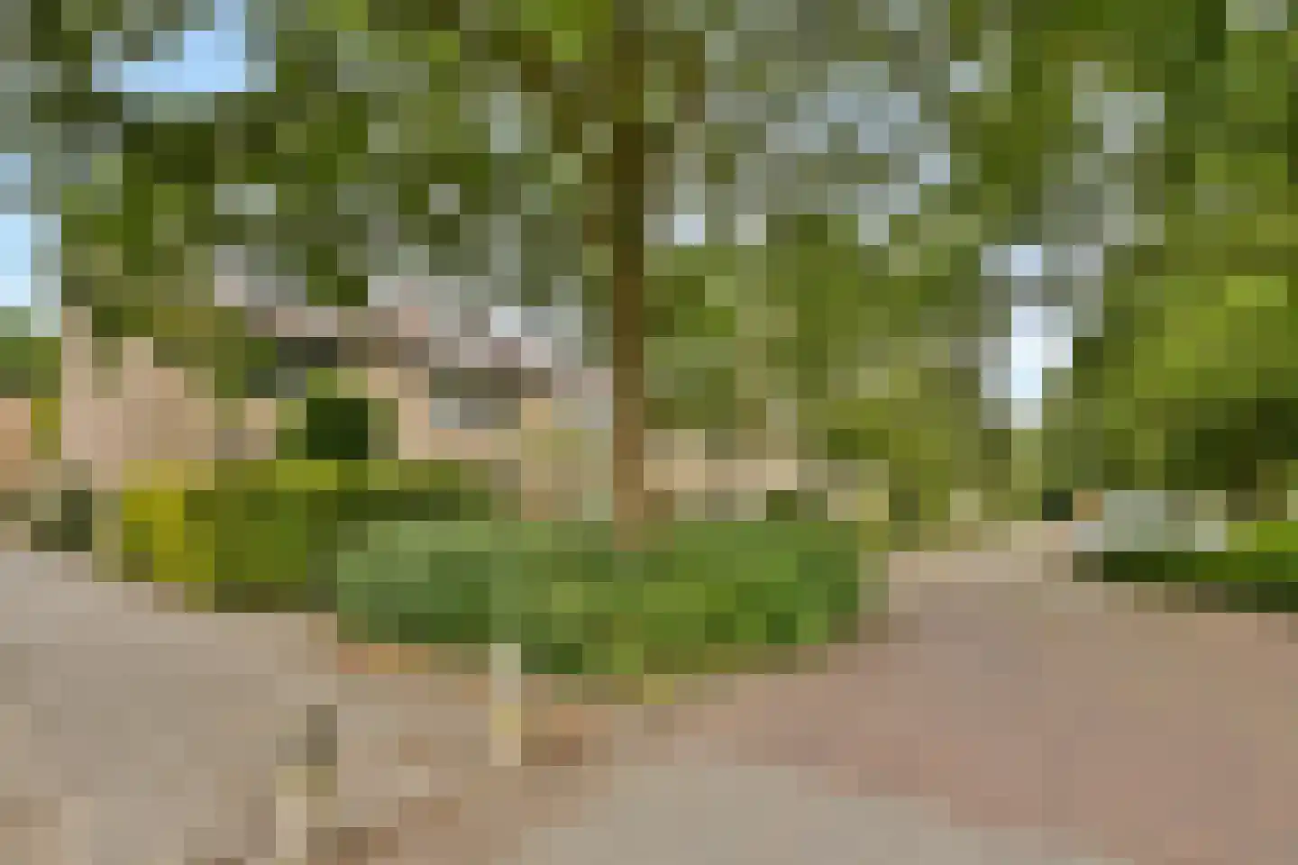 Bakboord 56 Amstelveen thumbnail 25