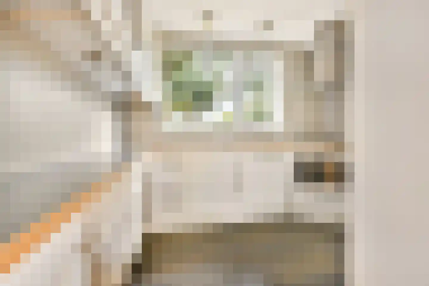 Bakboord 56 Amstelveen thumbnail 8