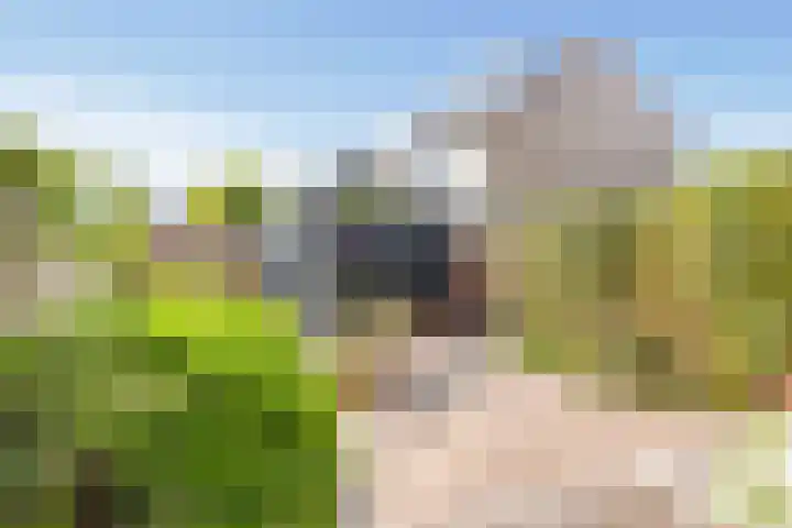 Bakboord 8 Amstelveen thumbnail 15