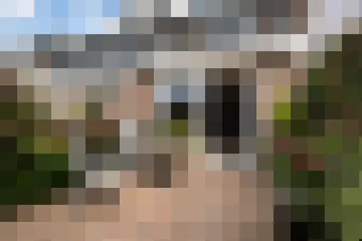Bakboordlaan 28 Woerden thumbnail 10