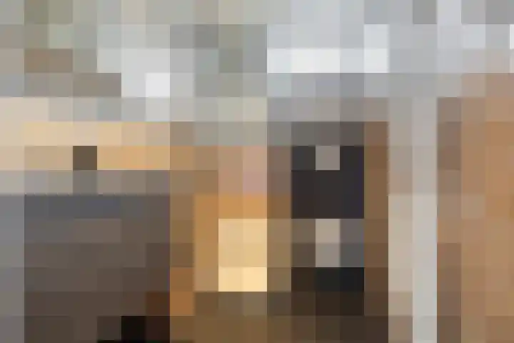 Bakboordlaan 28 Woerden thumbnail 24