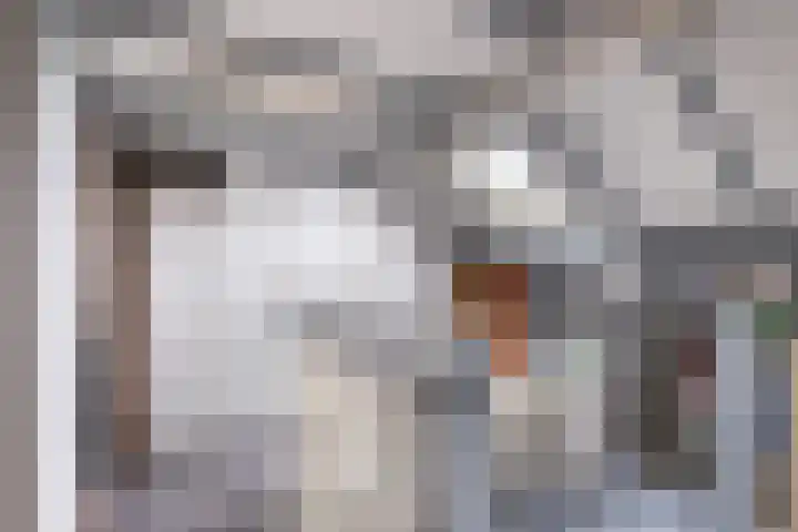 Bakboordlaan 28 Woerden thumbnail 26