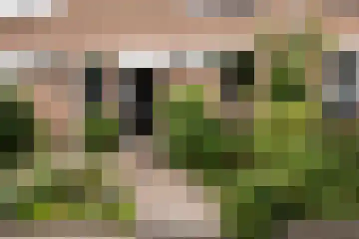 Bakboordlaan 28 Woerden thumbnail 4