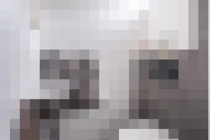 Bakboordlaan 28 Woerden thumbnail 6
