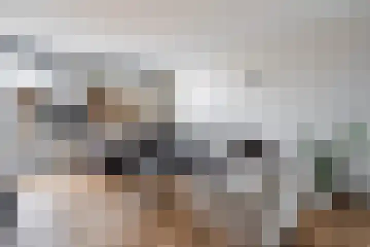 Bakboordlaan 5 Woerden thumbnail 12