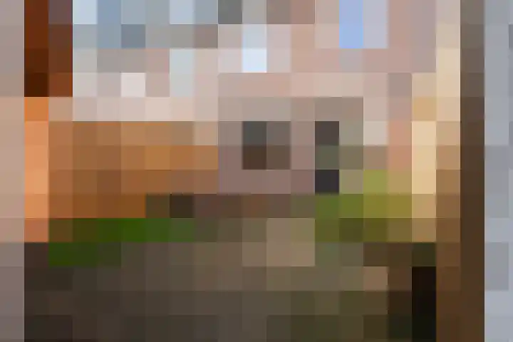 Bakboordlaan 5 Woerden thumbnail 14