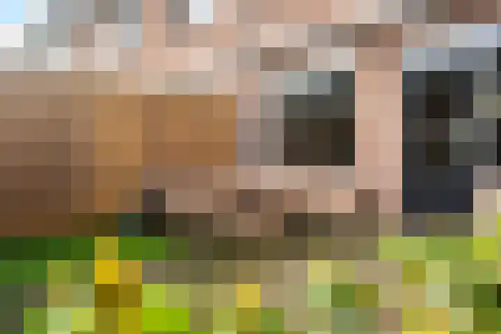 Bakboordlaan 5 Woerden thumbnail 16