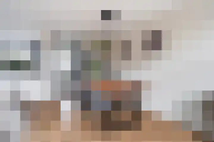 Bakboordlaan 5 Woerden thumbnail 20