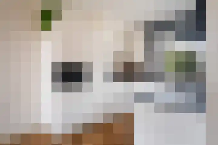 Bakboordlaan 5 Woerden thumbnail 23