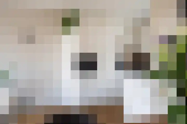 Bakboordlaan 5 Woerden thumbnail 26