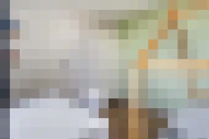 Bakboordlaan 5 Woerden thumbnail 31