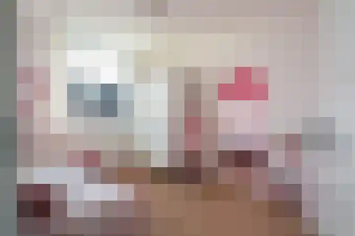 Bakboordlaan 5 Woerden thumbnail 32
