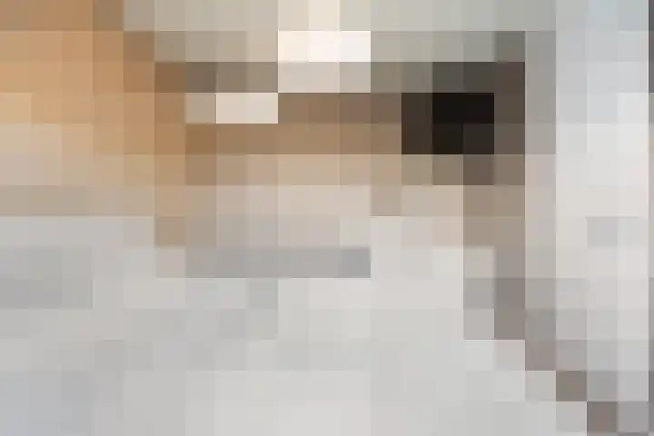 Bakboordlaan 5 Woerden thumbnail 53