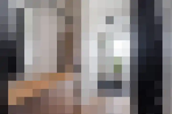 Bakboordlaan 5 Woerden thumbnail 6
