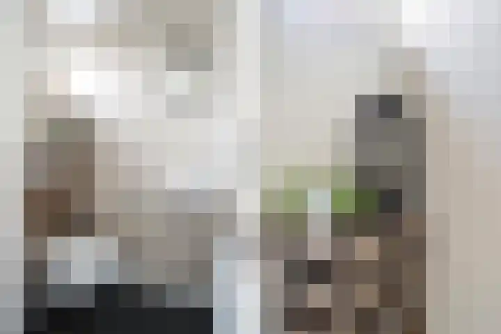Bakboordlaan 5 Woerden thumbnail 8
