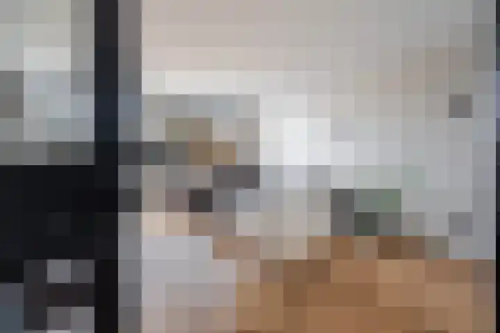 Bakboordlaan 5 Woerden thumbnail 9