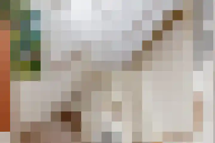 Bakboordlaan 76 Woerden thumbnail 22