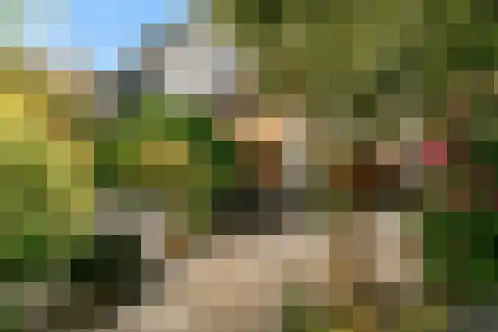 Bakboordlaan 76 Woerden thumbnail 4