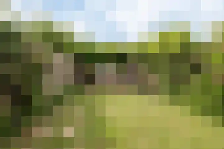 Bakelbos 7 Culemborg thumbnail 16