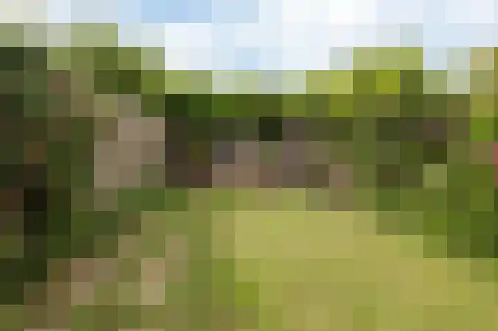 Bakelbos 7 Culemborg thumbnail 20