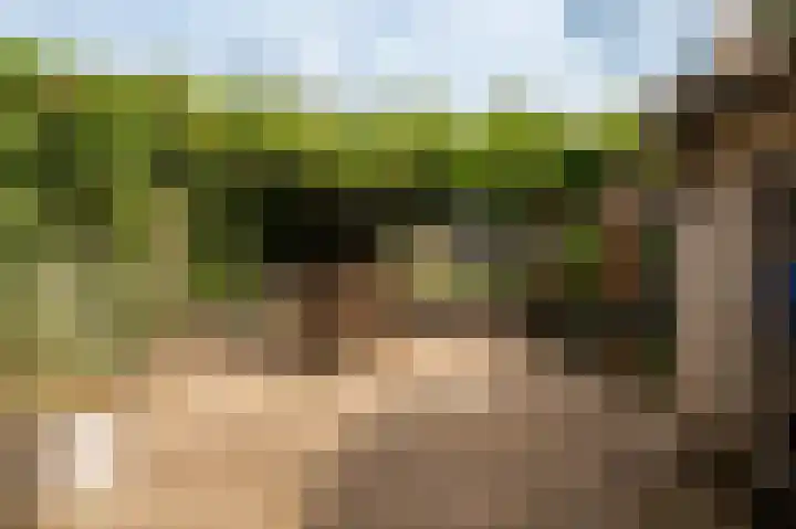 Bakelbos 7 Culemborg thumbnail 21