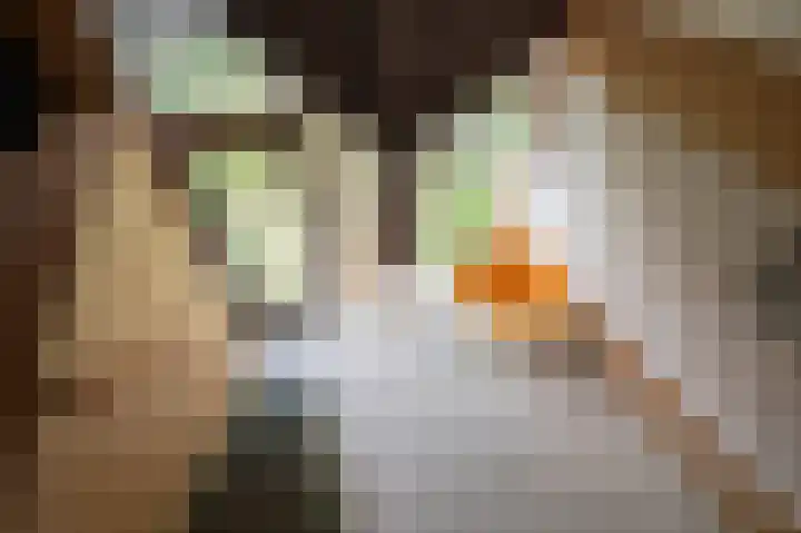 Bakelbos 7 Culemborg thumbnail 32