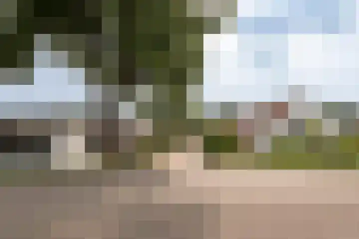 Bakelbos 7 Culemborg thumbnail 45