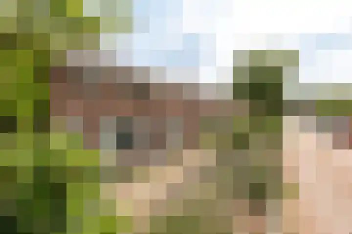 Bakelbos 7 Culemborg thumbnail 47