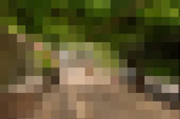 Bakelbos 7 Culemborg thumbnail 5