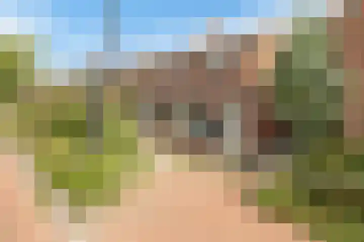 Bakelbos 7 Culemborg thumbnail 50