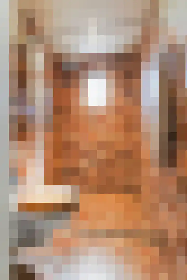Bakelbos 7 Culemborg thumbnail 51