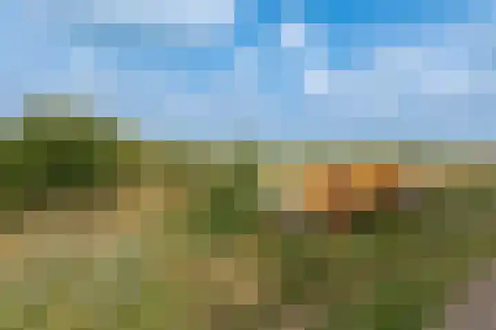 Bakelbos 7 Culemborg thumbnail 53