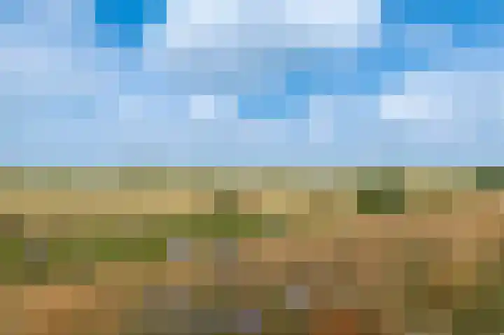 Bakelbos 7 Culemborg thumbnail 55