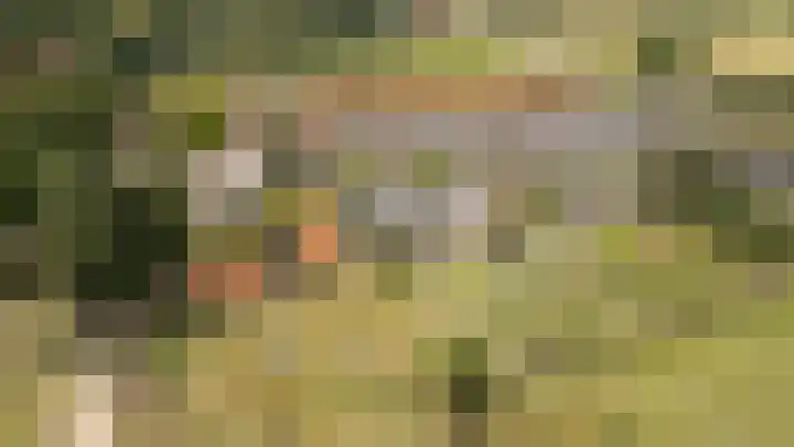 Bakelbos 7 Culemborg thumbnail 59