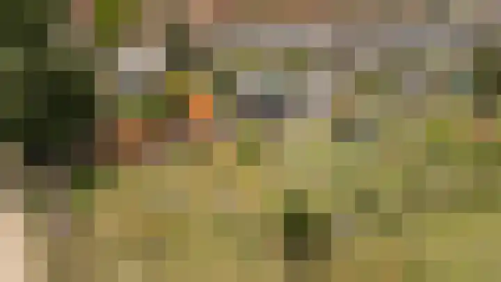 Bakelbos 7 Culemborg thumbnail 6